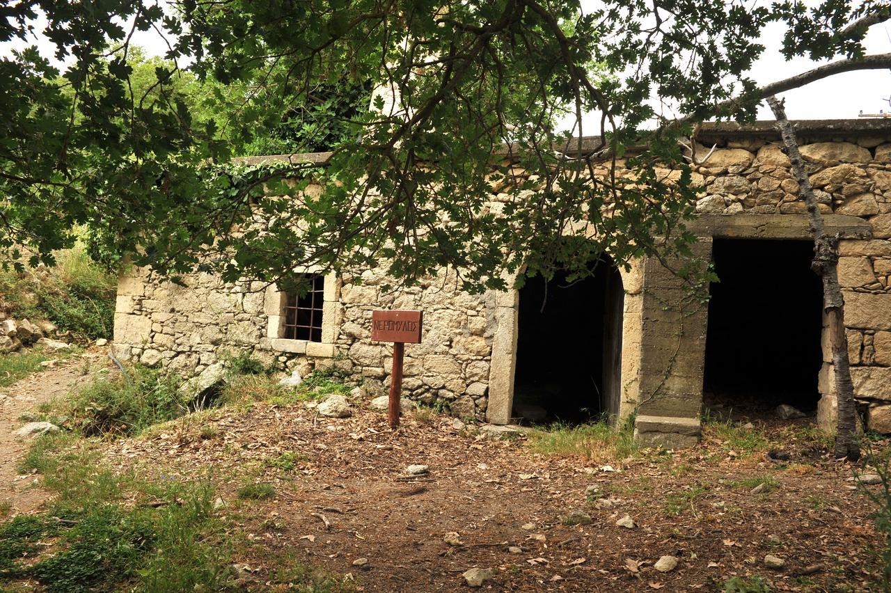 Villa Axenti Agios Thomas (Crete) Exterior foto