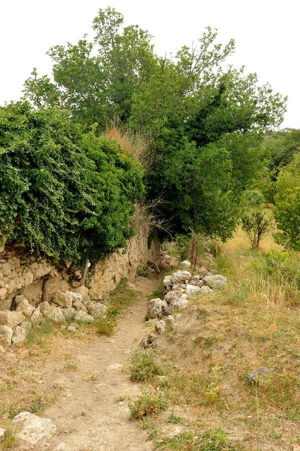 Villa Axenti Agios Thomas (Crete) Exterior foto